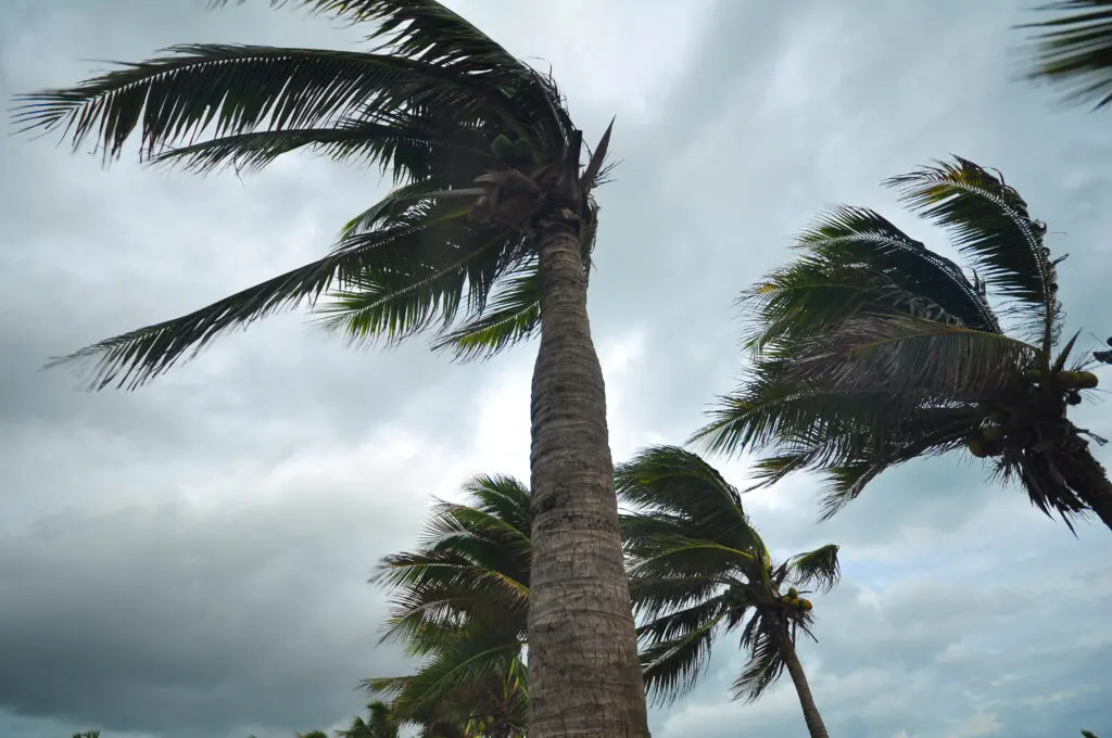 Stay connected during the 2025 hurricane season in the South