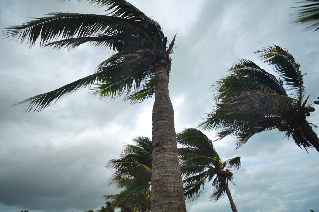 Stay connected during the 2025 hurricane season in the South